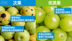 果酒原料(水果)怎么找? - 贵州黄氏酒厂